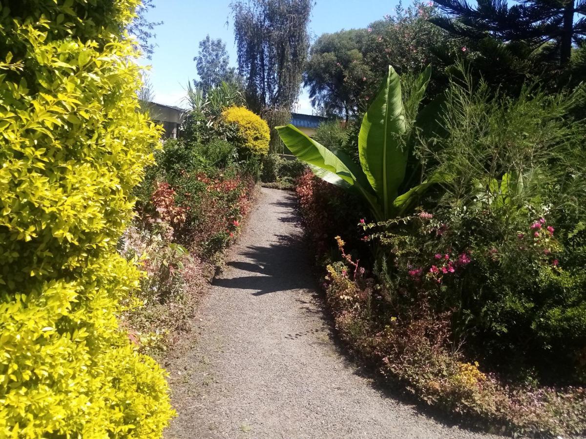 Homebase Gardens Nakuru Exteriér fotografie